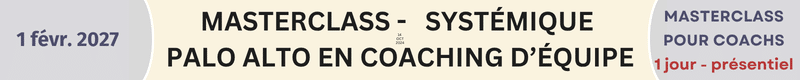 Masterclass systémique Coaching d'équipe