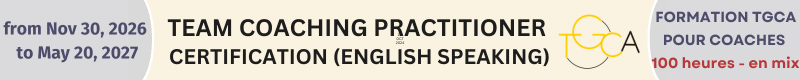 PRaticien Coaching d'équipe English