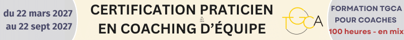 PRaticien Coaching d'équipe